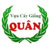 Vựa cây giống cần thơ