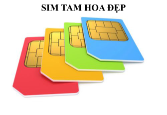 10 câu hỏi xung quanh sim tam hoa: giải mã bí ẩn số đẹp được săn lùng nhất