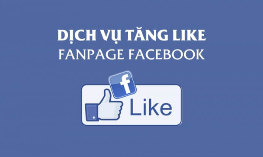 Top 10 dịch vụ tăng like fanpage uy tín nhất
